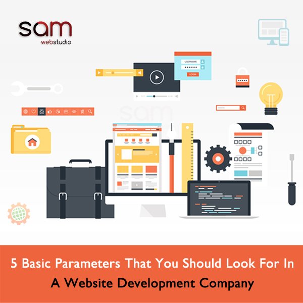 5 Basic Parameters That You Should Look For In A Website Development Company