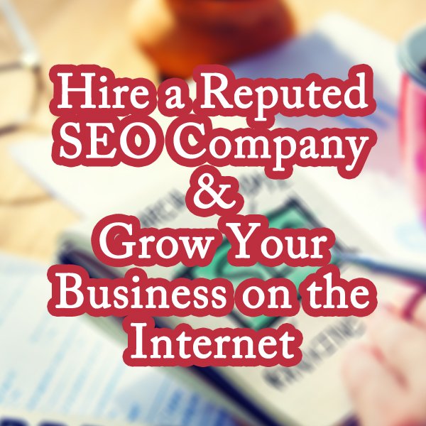 Hire a Reputed SEO Company and Grow Your Business on the Internet