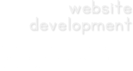 wweb development company in delhi