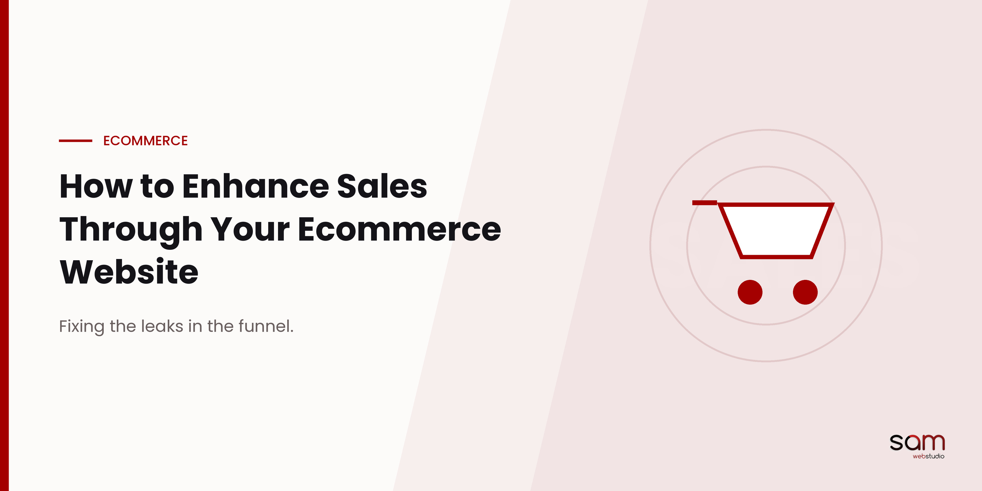 Ecommerce Website Designing Company in Delhi India