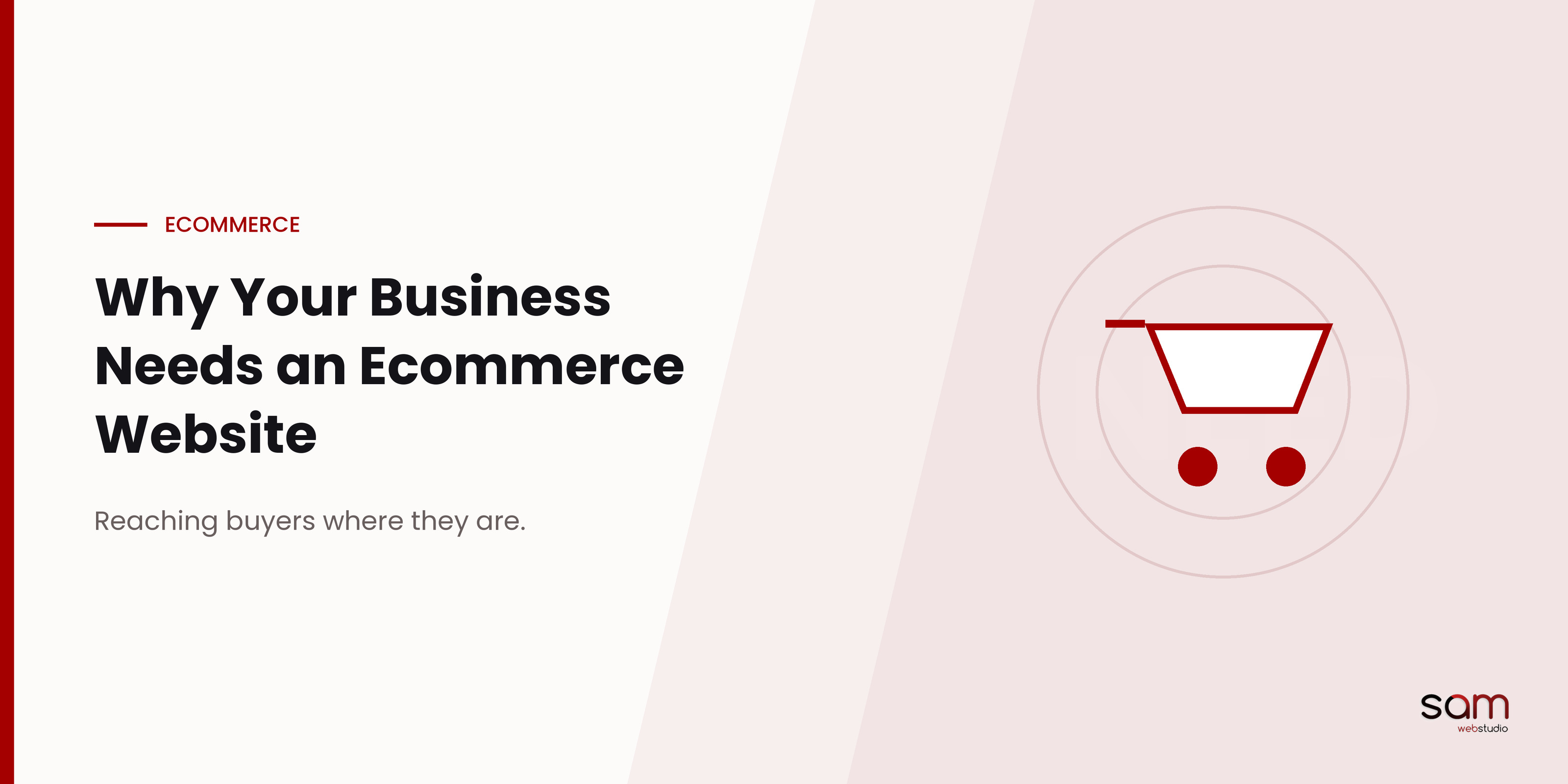 Ecommerce Website Designing Company in Delhi