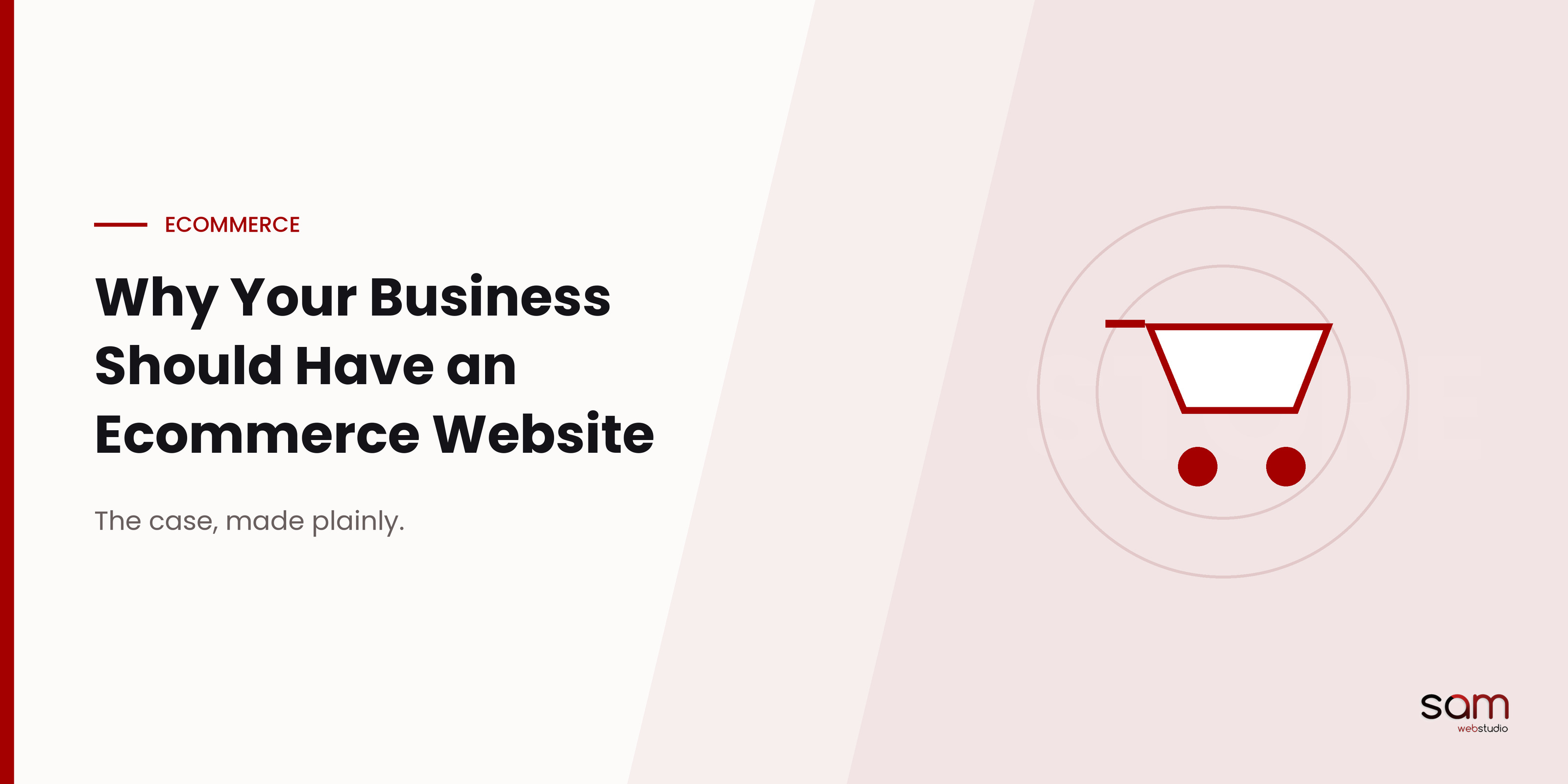 Ecommerce Web Designing Company Delhi
